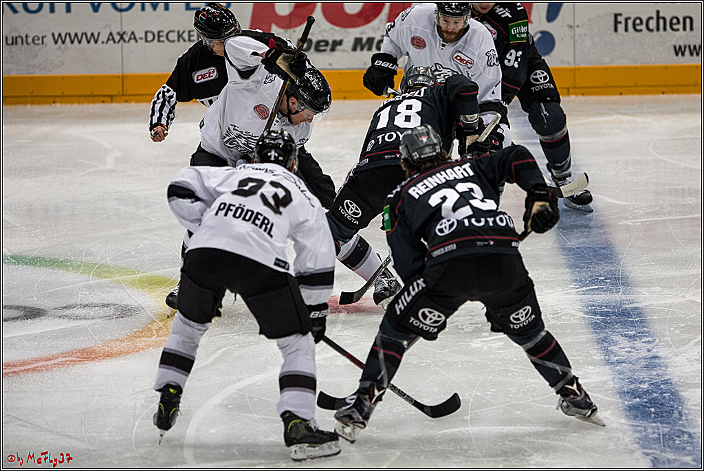 DEL, Koelner Haie - Nuernberg Ice Tiger, 24.01.2017